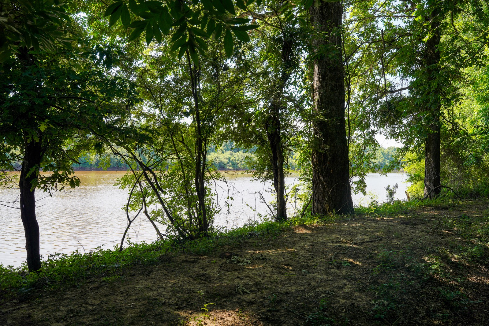 Photo 3 of 26 of land for sale at TBD Hwy 124, Jonesville, LA 71343