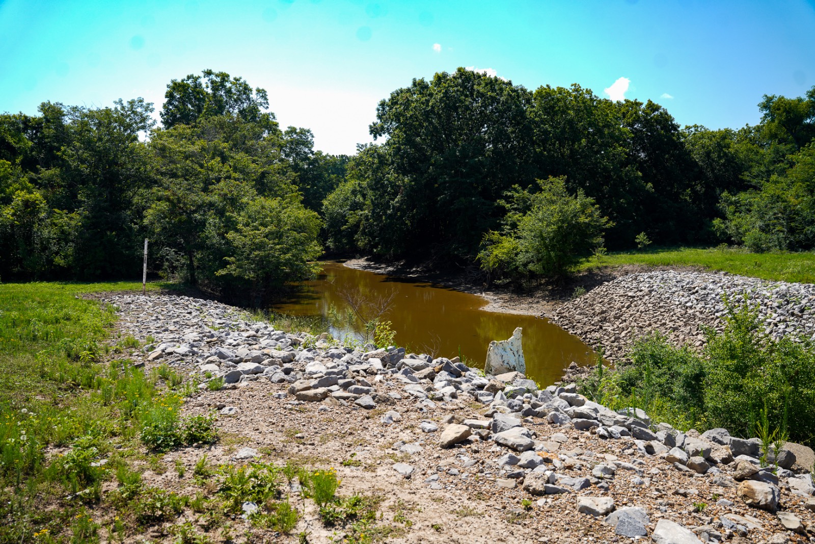 Photo 4 of 26 of land for sale at TBD Hwy 124, Jonesville, LA 71343