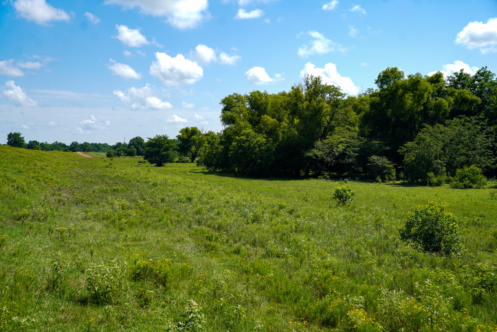 Photo 5 of 26 of land for sale at TBD Hwy 124, Jonesville, LA 71343