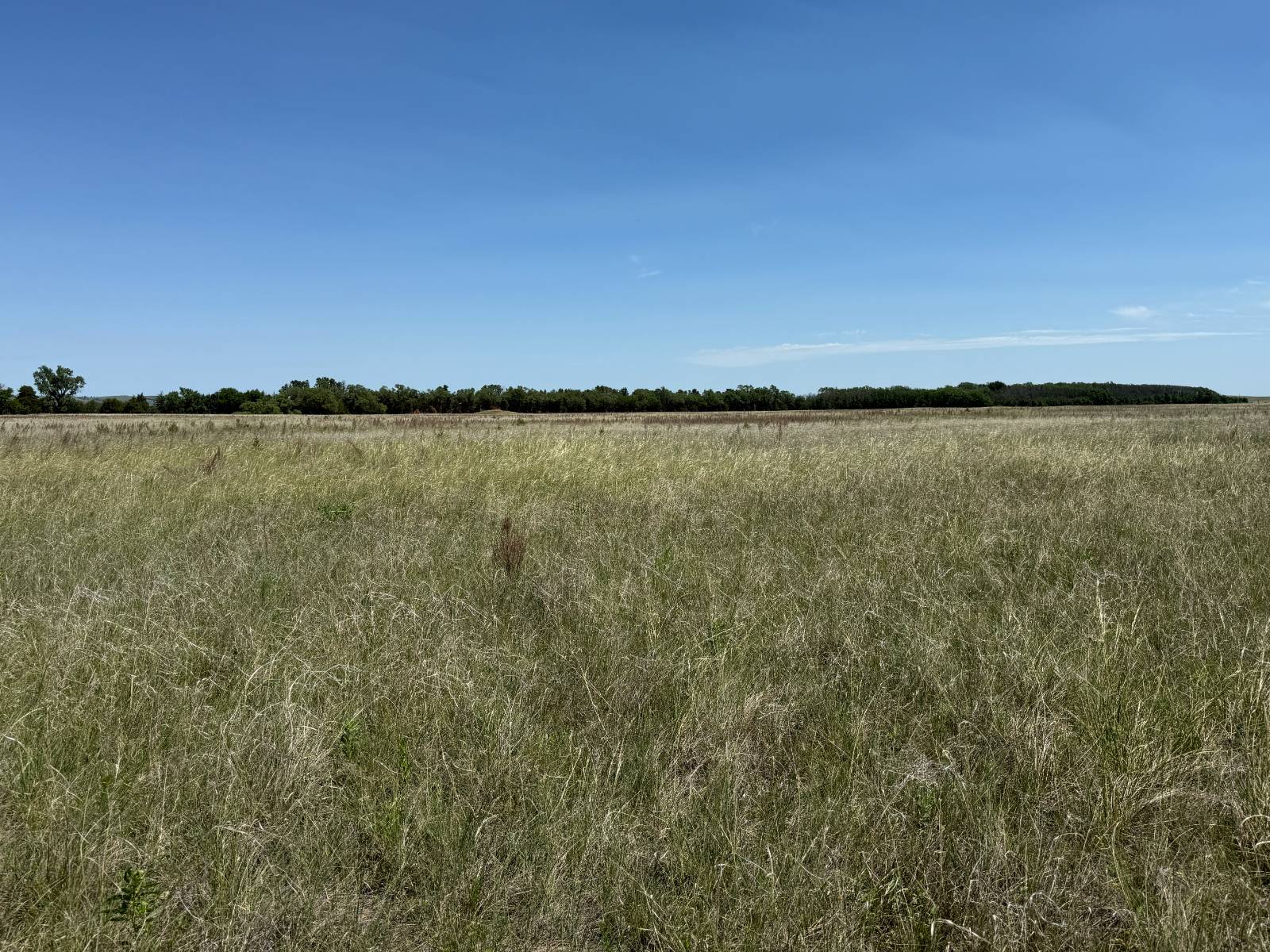 360 +/- Acres, Holt County, O’Neill, NE