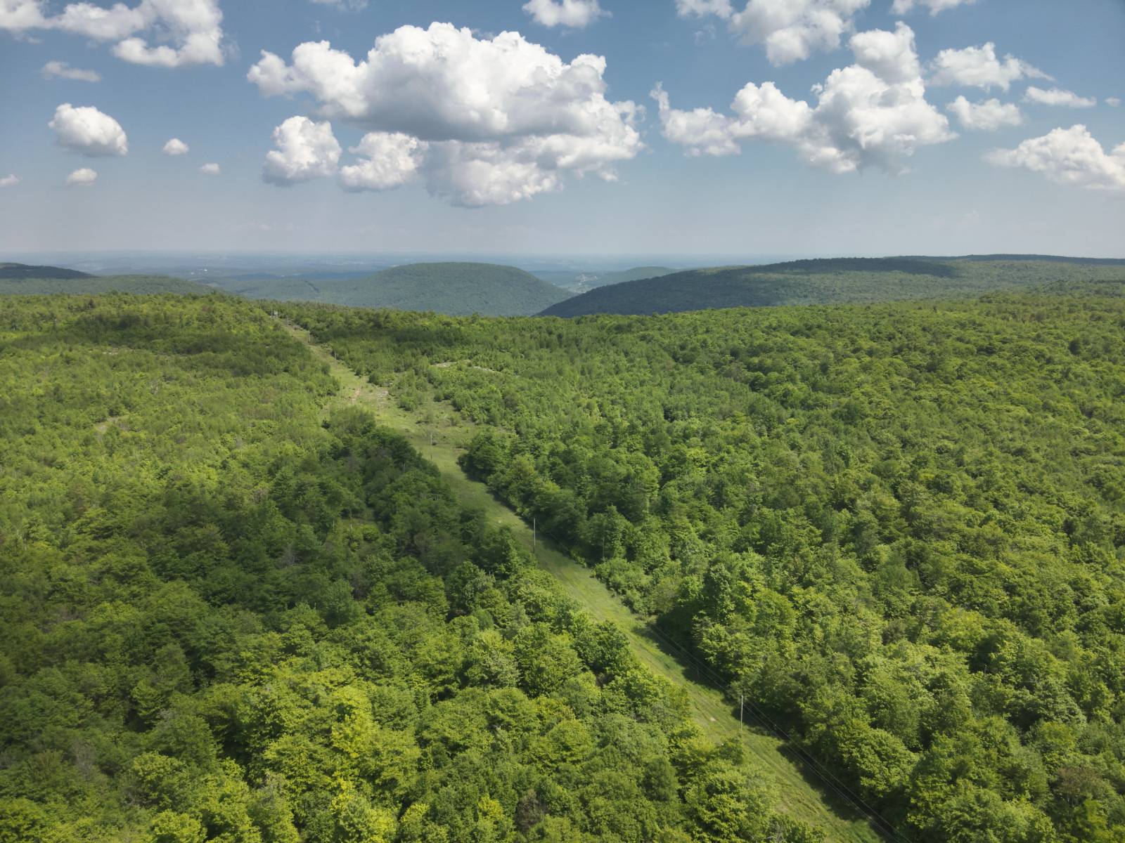 904 acres in Sullivan County, PA: hunting land for sale near Dushore, PA