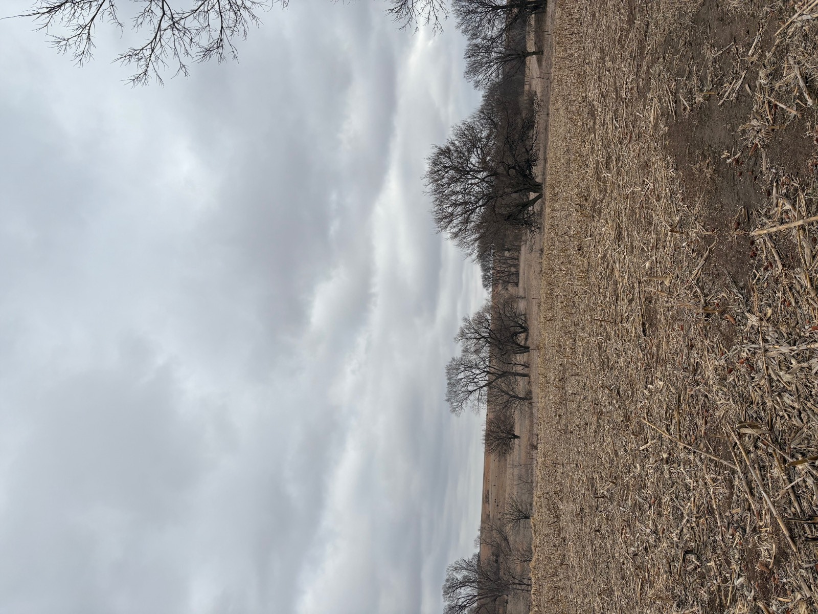 Photo 13 of 17 of farm or ranch property listing at 598 HWY 14, Superior, NE 68978