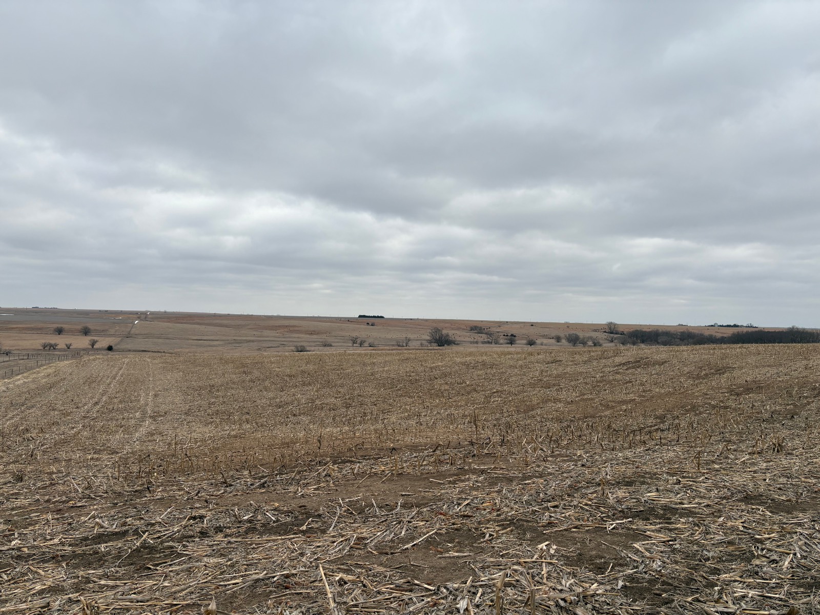 Photo 3 of 17 of farm or ranch property listing at 598 HWY 14, Superior, NE 68978