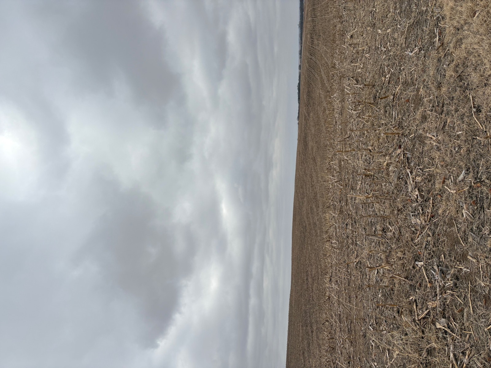 Photo 17 of 17 of farm or ranch property listing at 598 HWY 14, Superior, NE 68978