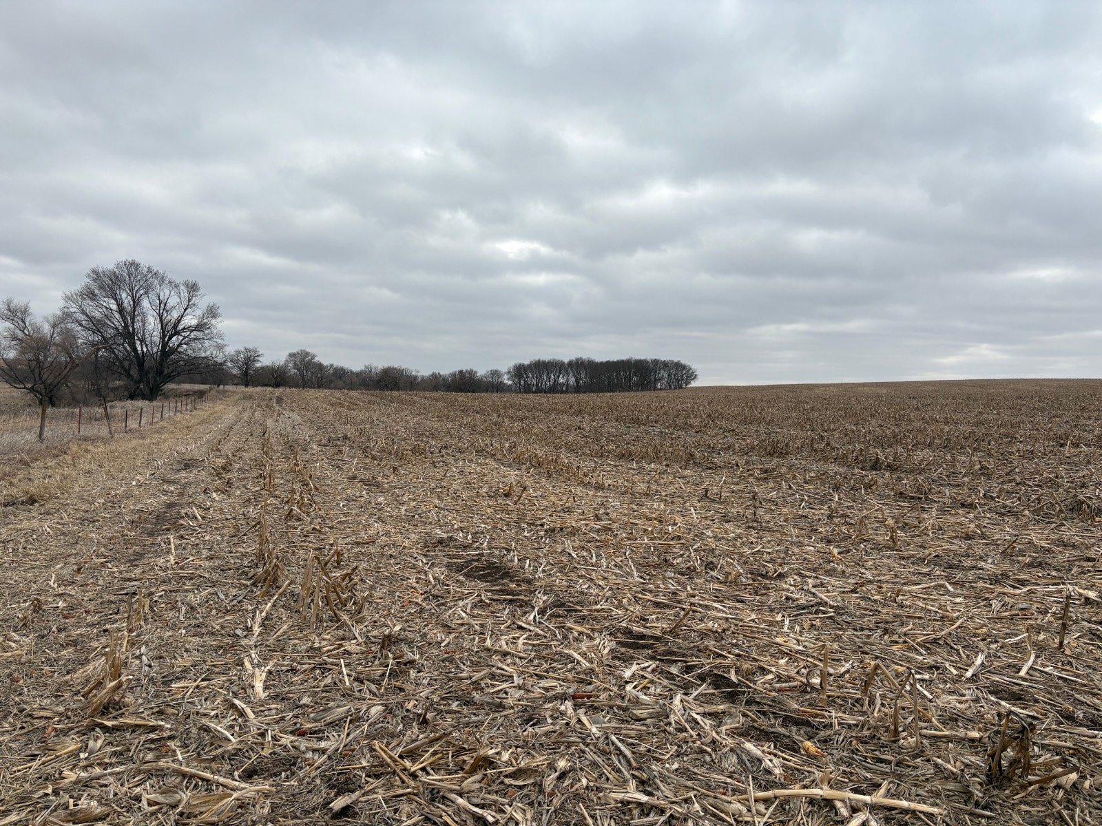 Photo 11 of 17 of farm or ranch property listing at 598 HWY 14, Superior, NE 68978