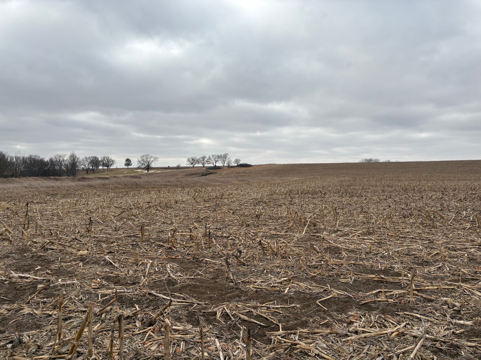 Photo 16 of 17 of farm or ranch property listing at 598 HWY 14, Superior, NE 68978
