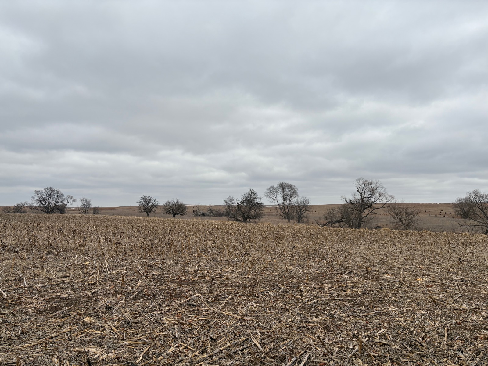 Photo 14 of 17 of farm or ranch property listing at 598 HWY 14, Superior, NE 68978