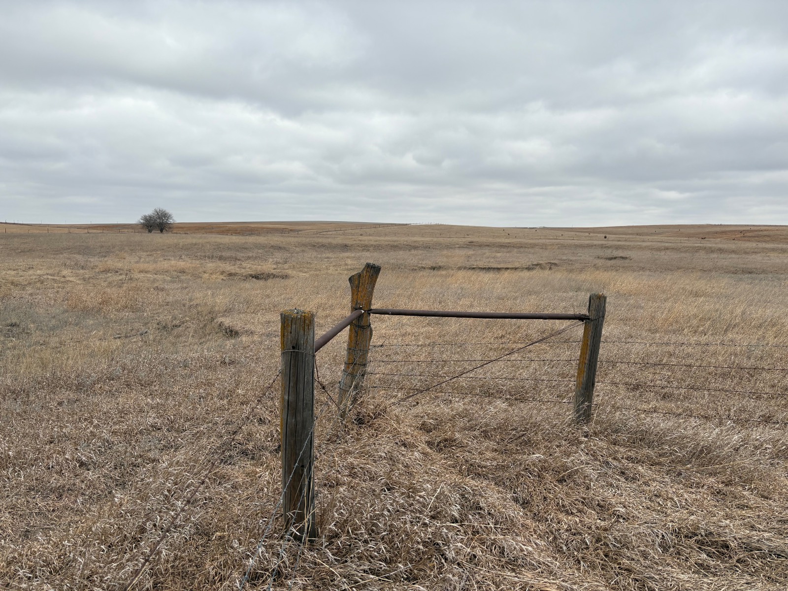 Photo 10 of 17 of farm or ranch property listing at 598 HWY 14, Superior, NE 68978
