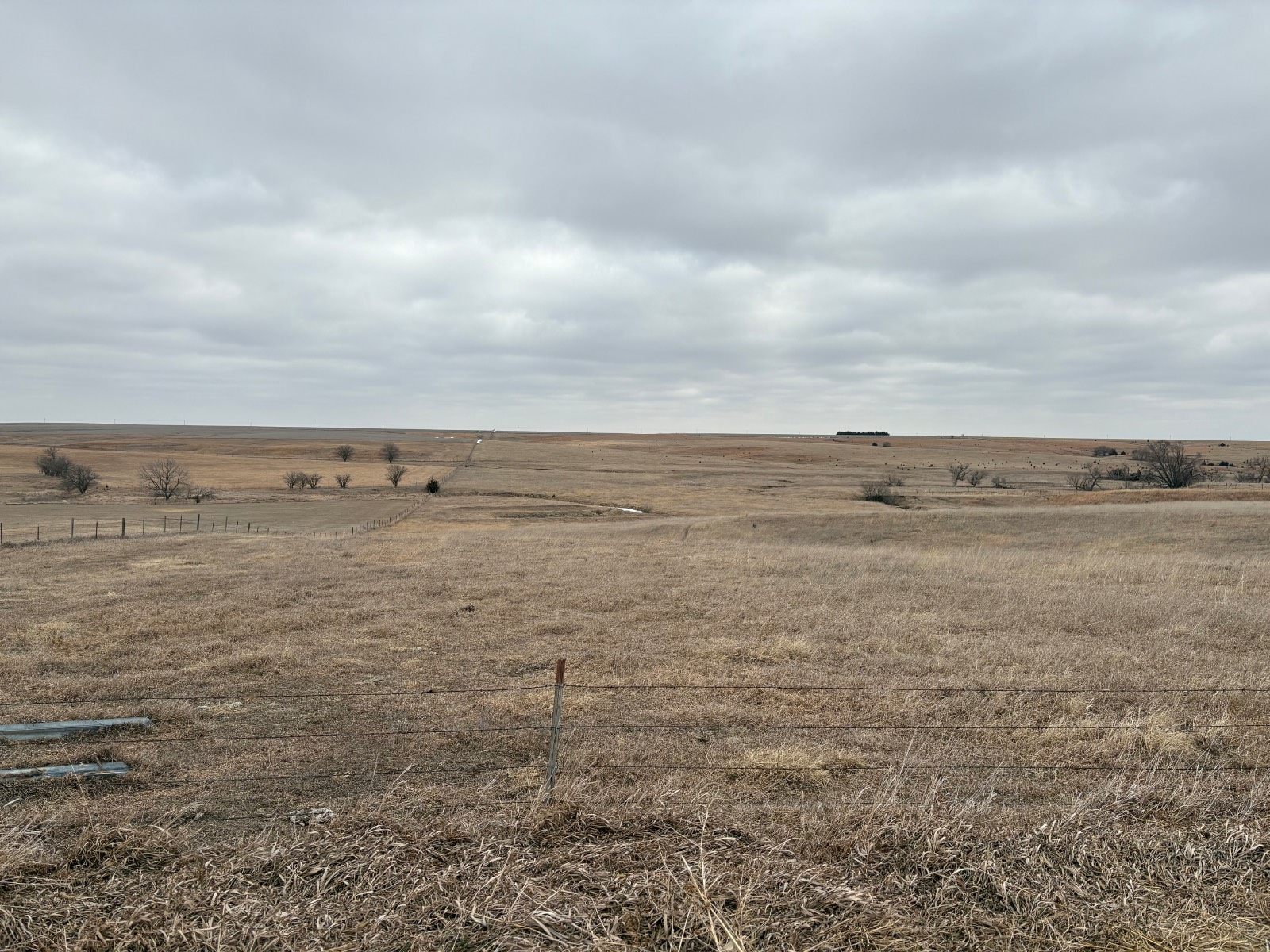 Photo 5 of 17 of farm or ranch property listing at 598 HWY 14, Superior, NE 68978