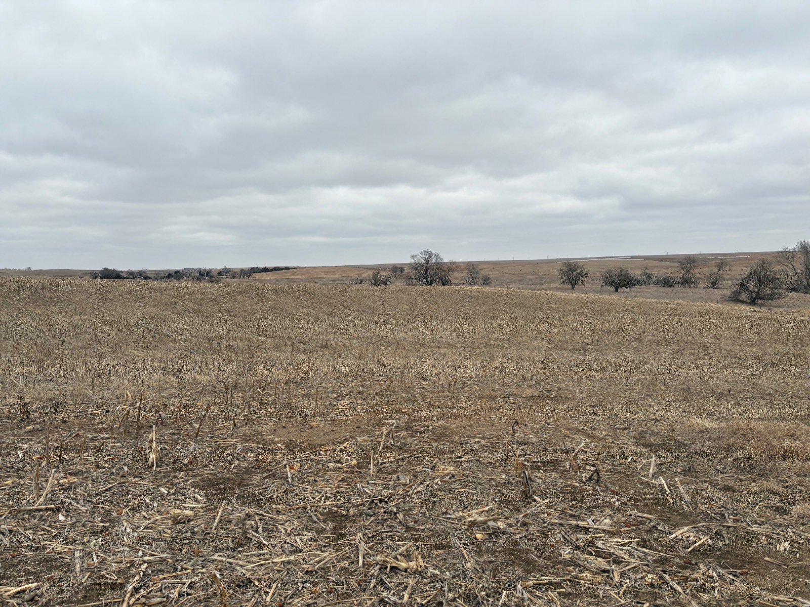 Photo 15 of 17 of farm or ranch property listing at 598 HWY 14, Superior, NE 68978