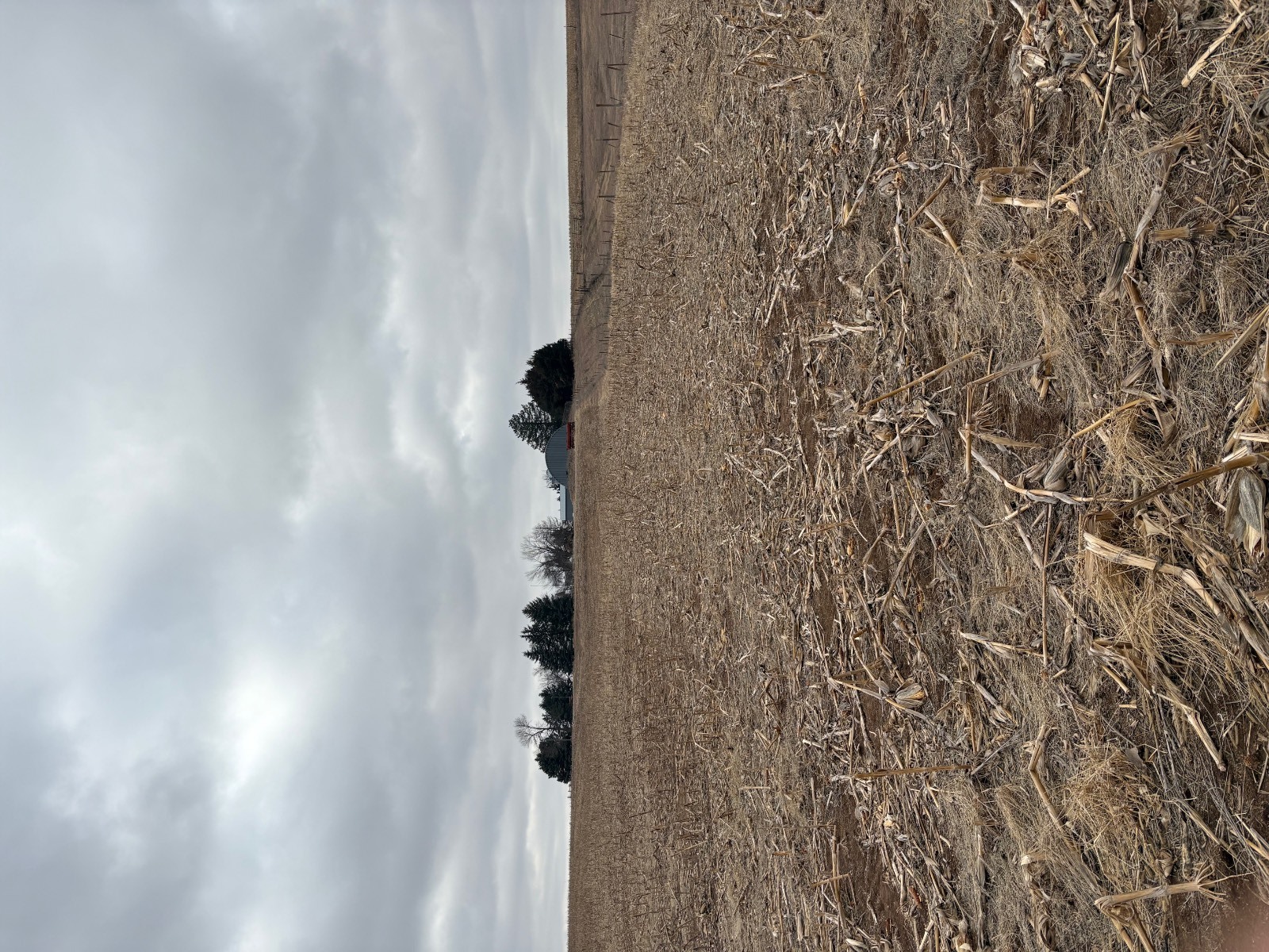 Photo 4 of 17 of farm or ranch property listing at 598 HWY 14, Superior, NE 68978