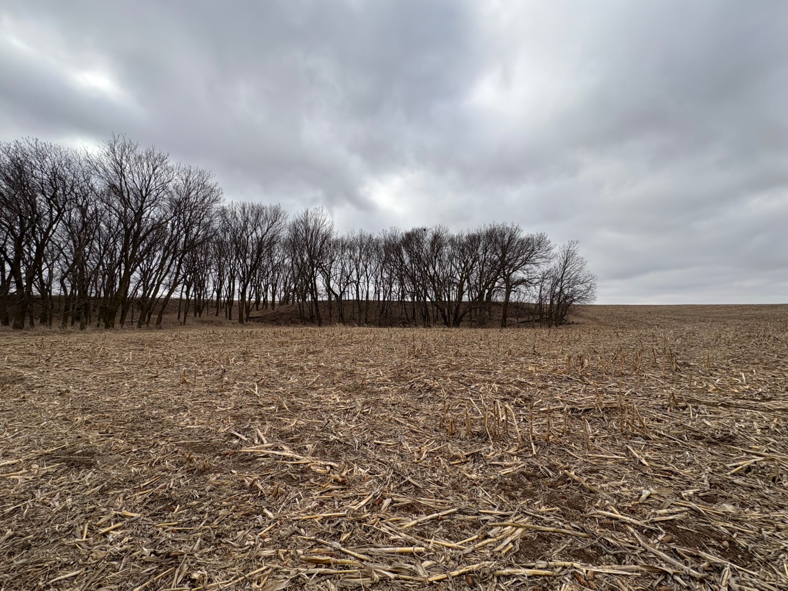 Photo 12 of 17 of farm or ranch property listing at 598 HWY 14, Superior, NE 68978