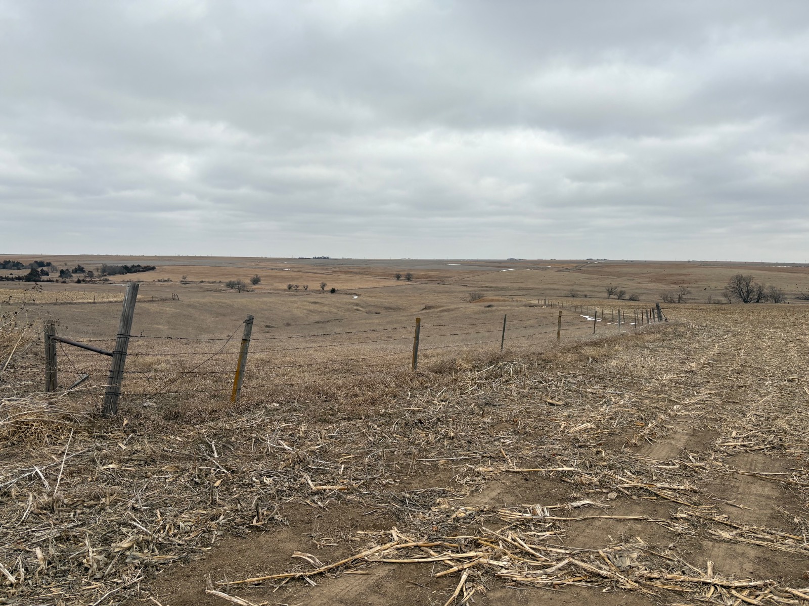 Photo 7 of 17 of farm or ranch property listing at 598 HWY 14, Superior, NE 68978