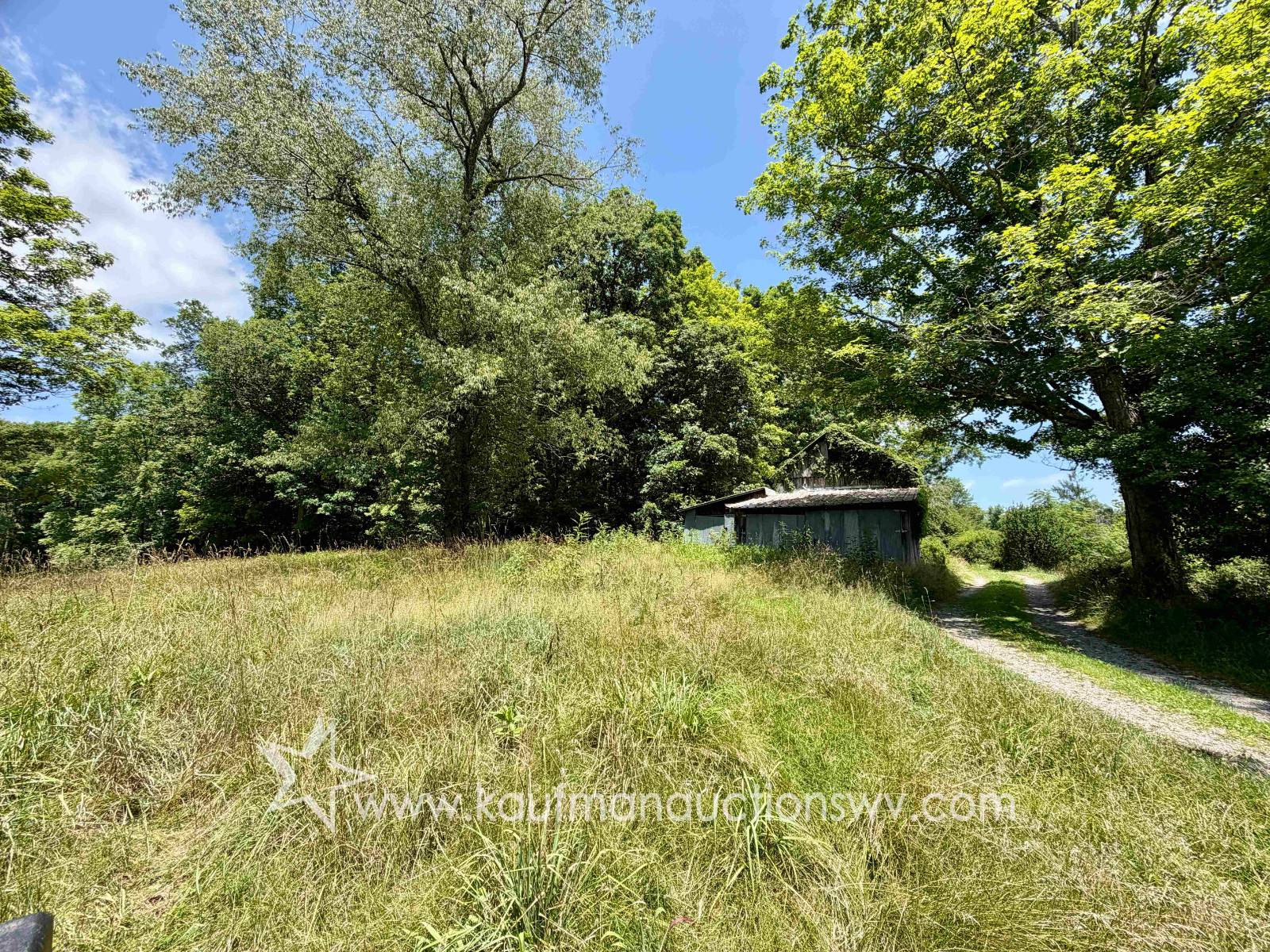 Gallery Image 18