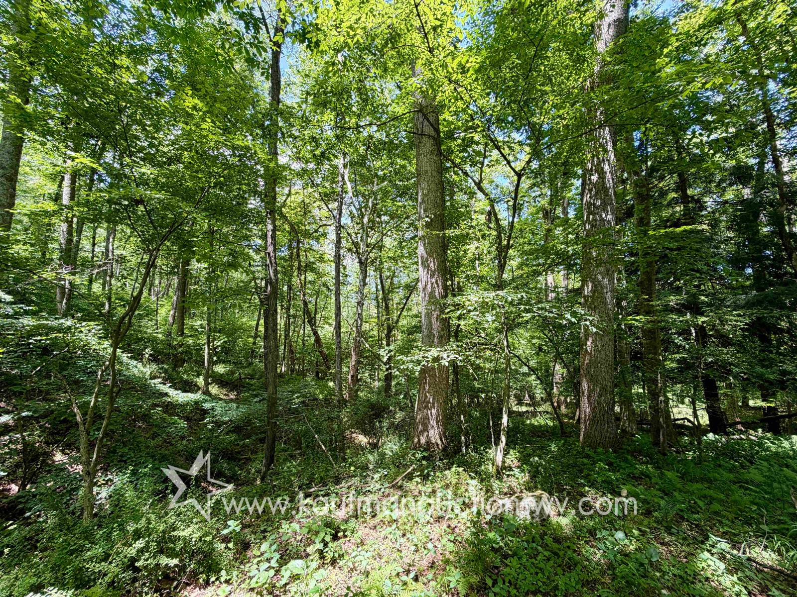 Gallery Image 13