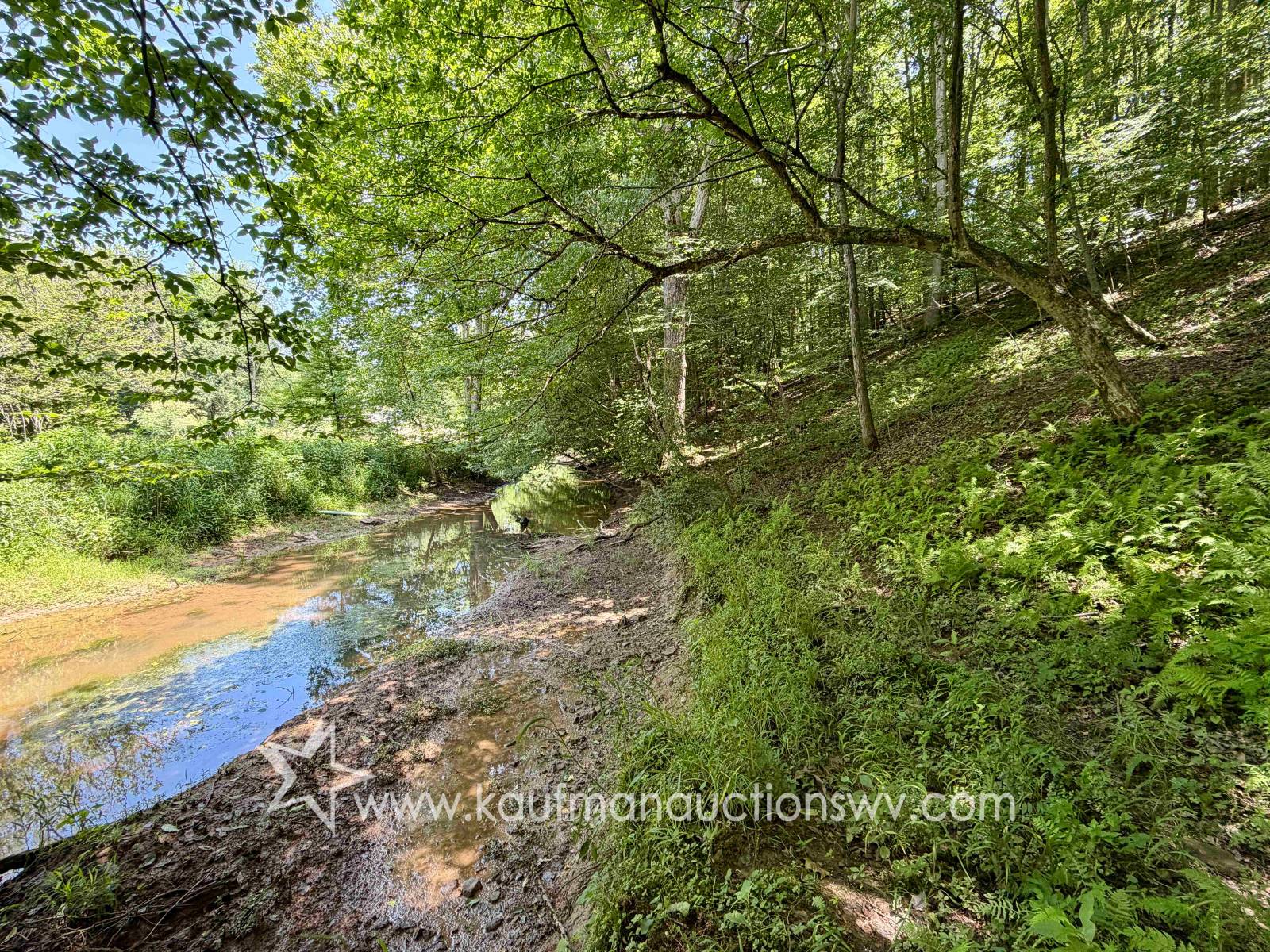Gallery Image 10