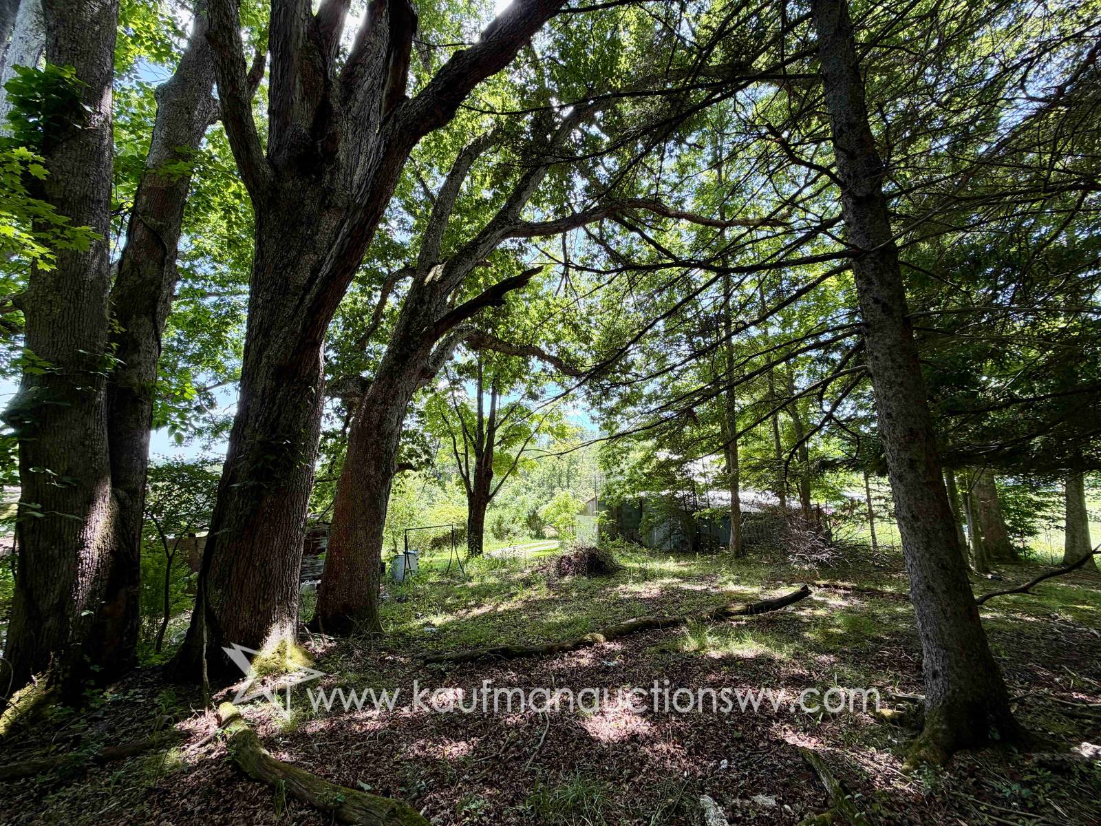 Gallery Image 16
