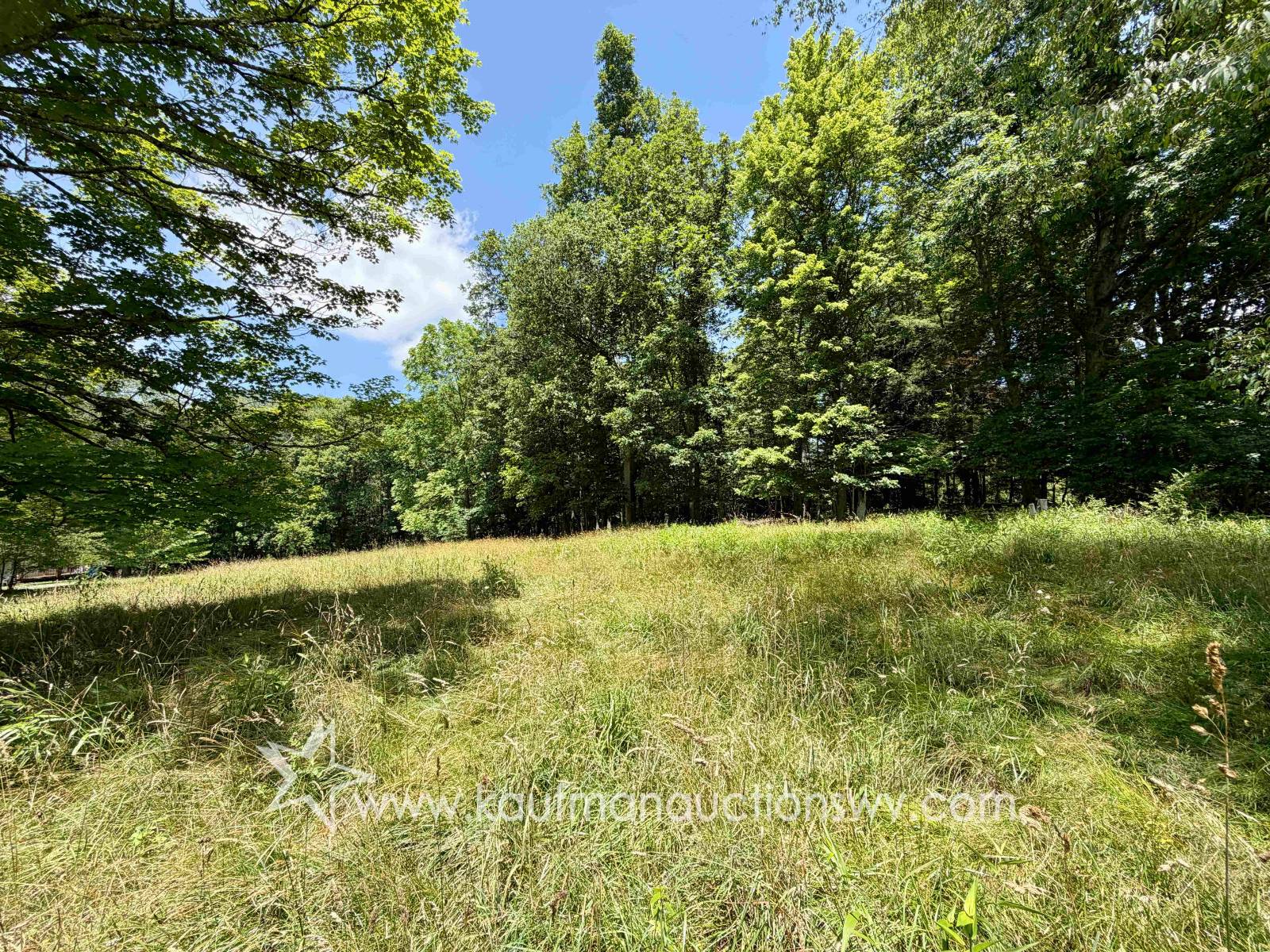 Gallery Image 17