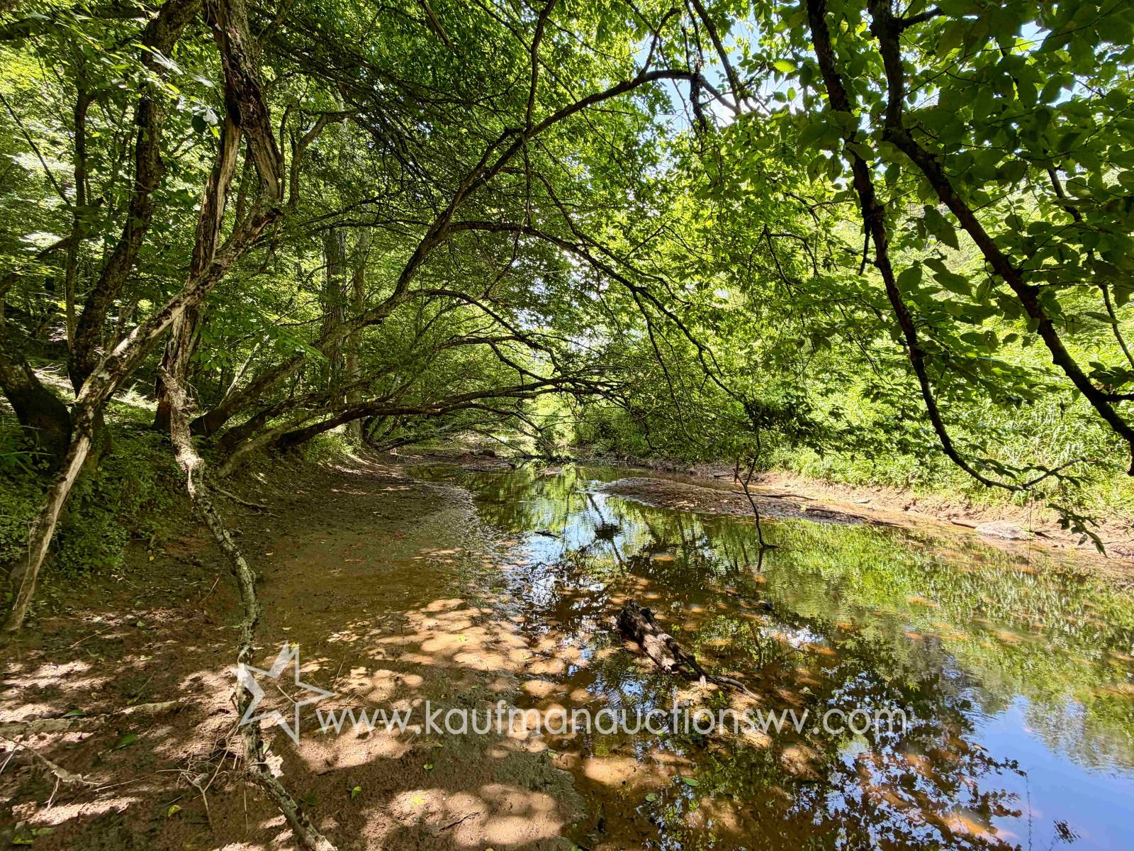 Gallery Image 11
