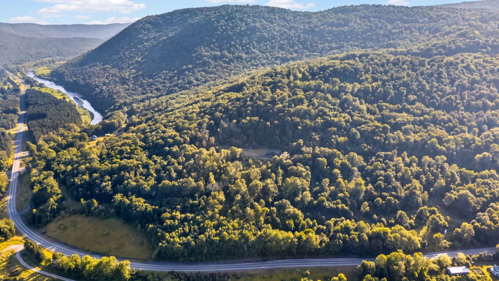 22929 State Highway 10