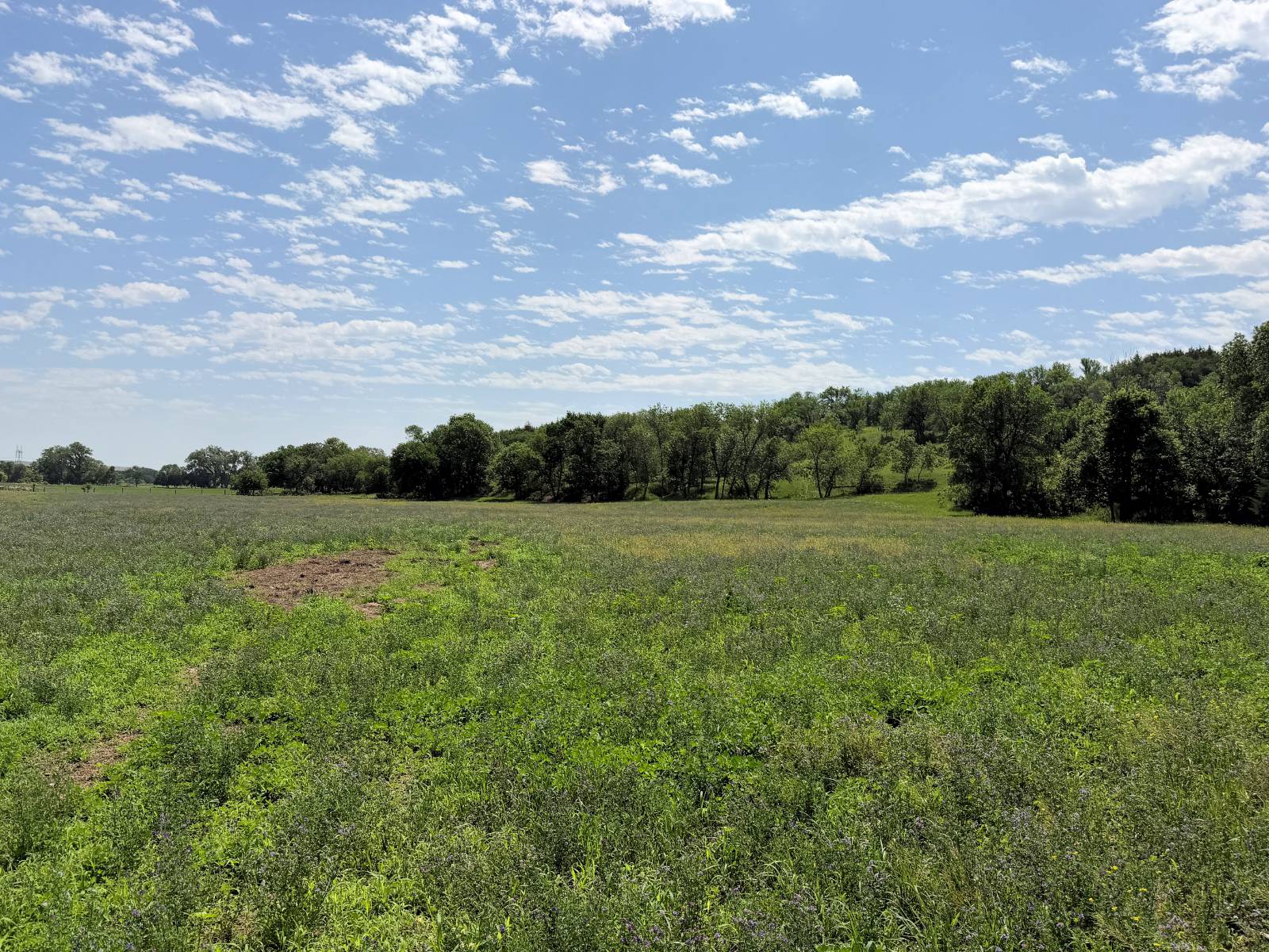 Photo 6 of 49 of home listing at 50876 897th Rd, Lynch, NE 68746