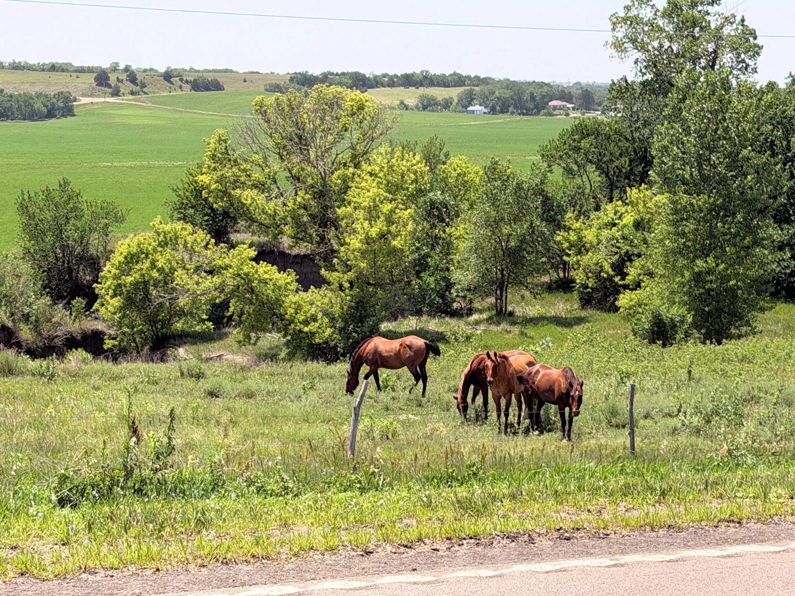 Photo 4 of 49 of home listing at 50876 897th Rd, Lynch, NE 68746