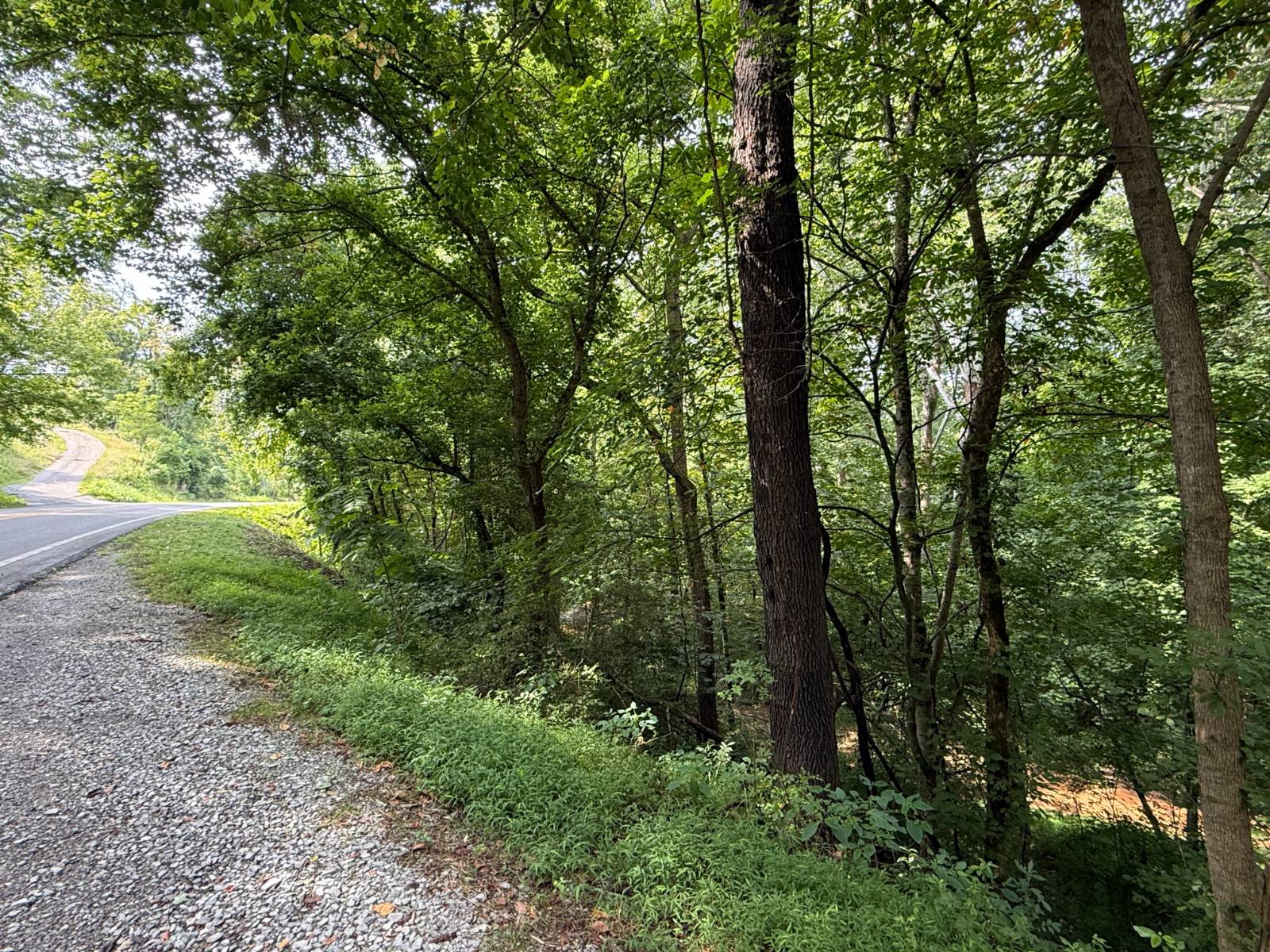 Photo 1 of 4 of land for sale at TBD Wilsie Rd, Frametown, WV 26623