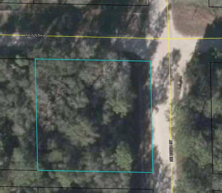 Photo 1 of 5 of land for sale at TBD NE 808th, Old Town, FL 32680