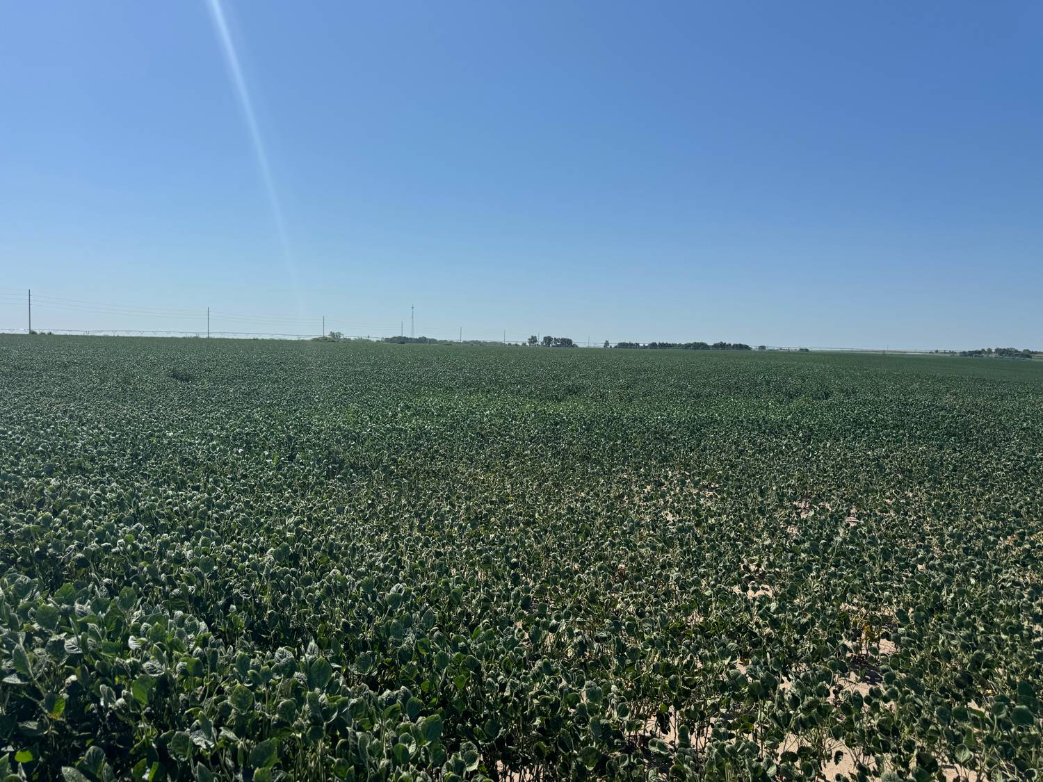 Photo 19 of 25 of land listing at 00 W 11th Rd, Aurora, NE 68818