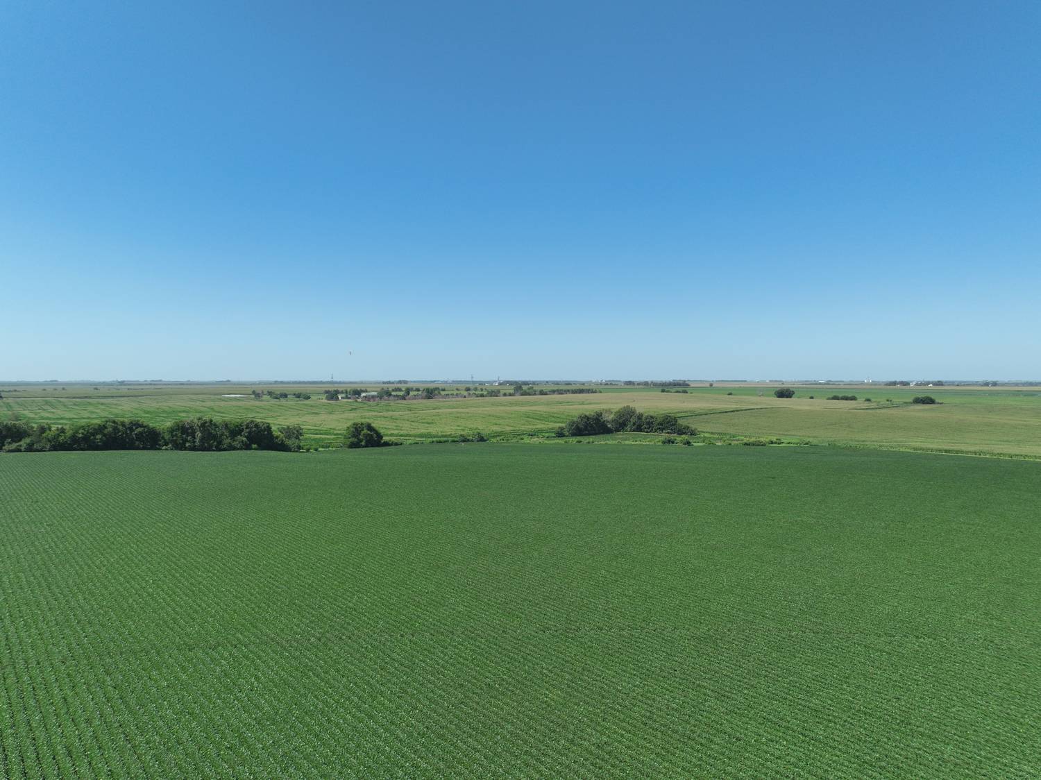 Photo 13 of 25 of land listing at 00 W 11th Rd, Aurora, NE 68818