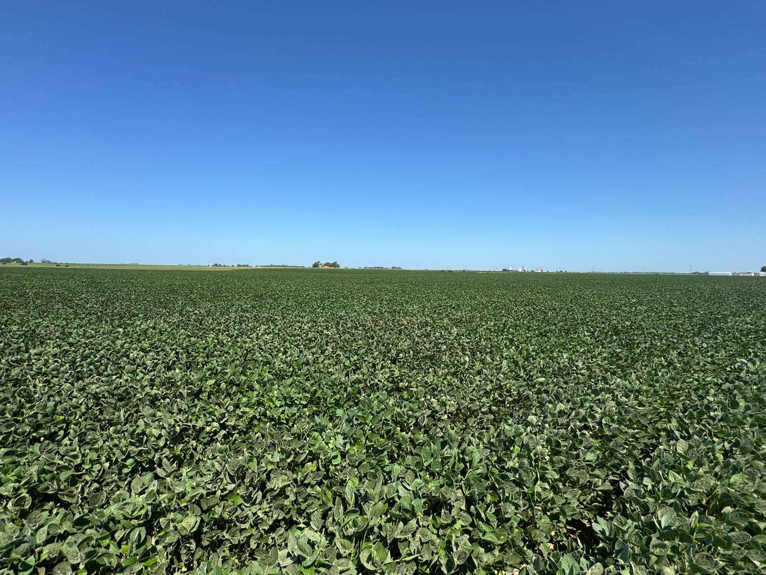 Photo 16 of 25 of land listing at 00 W 11th Rd, Aurora, NE 68818