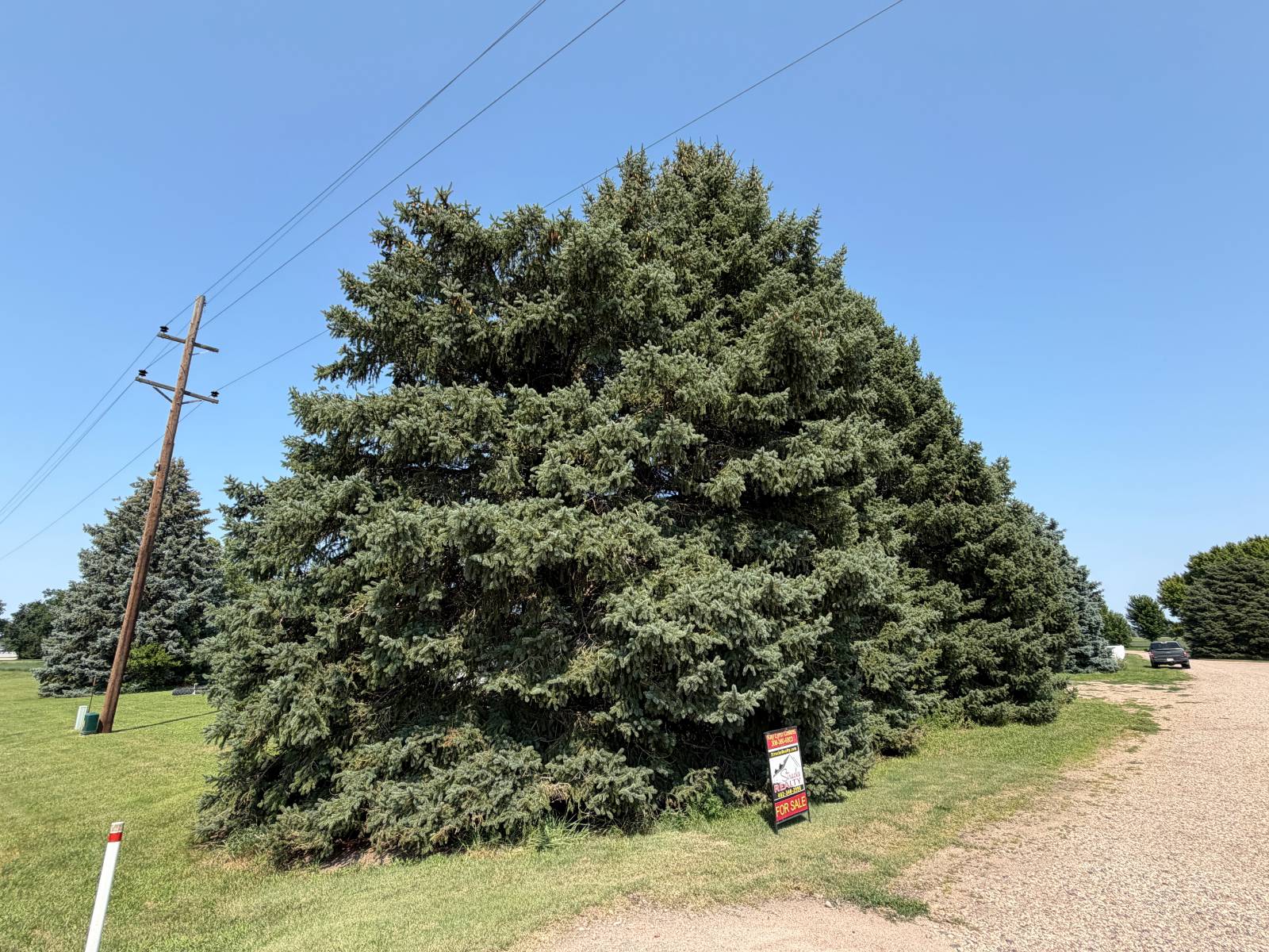 Photo 3 of 46 of home listing at 43055 Foxtail Road, Ainsworth, NE 69210