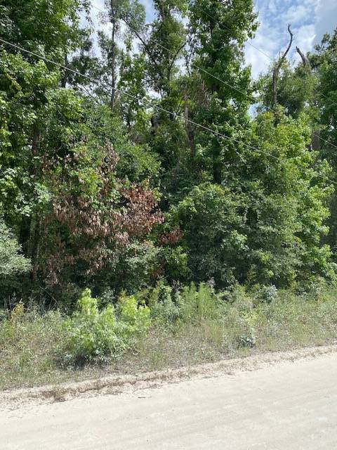 Photo 4 of 4 of land for sale at TBD NE 173rd Ave #12, Old Town, FL 32680