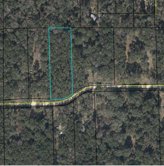 Photo 3 of 4 of land for sale at TBD NE 173rd Ave #12, Old Town, FL 32680