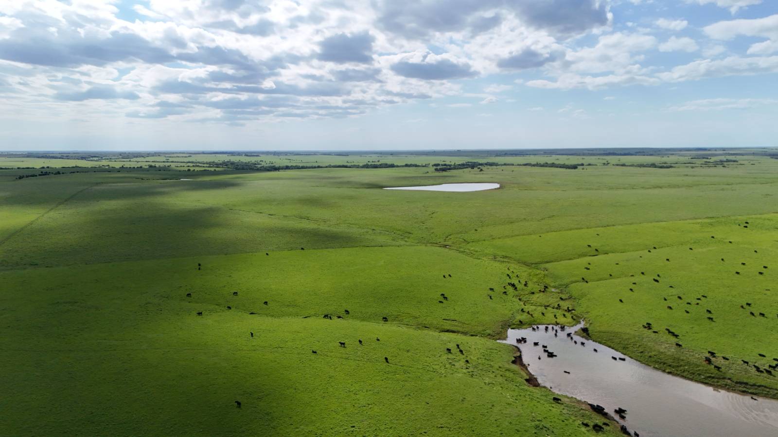 D-4; 152 Watersedge Loop