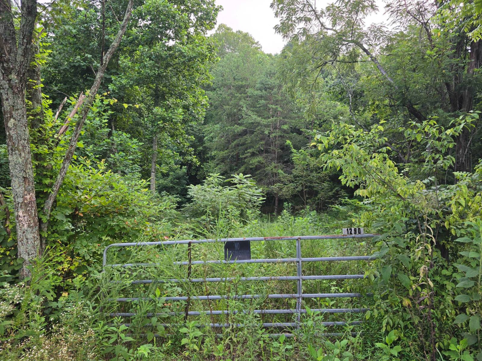 Photo 3 of 4 of land for sale at 0 Volunteer Rd, Rutledge, TN 37861