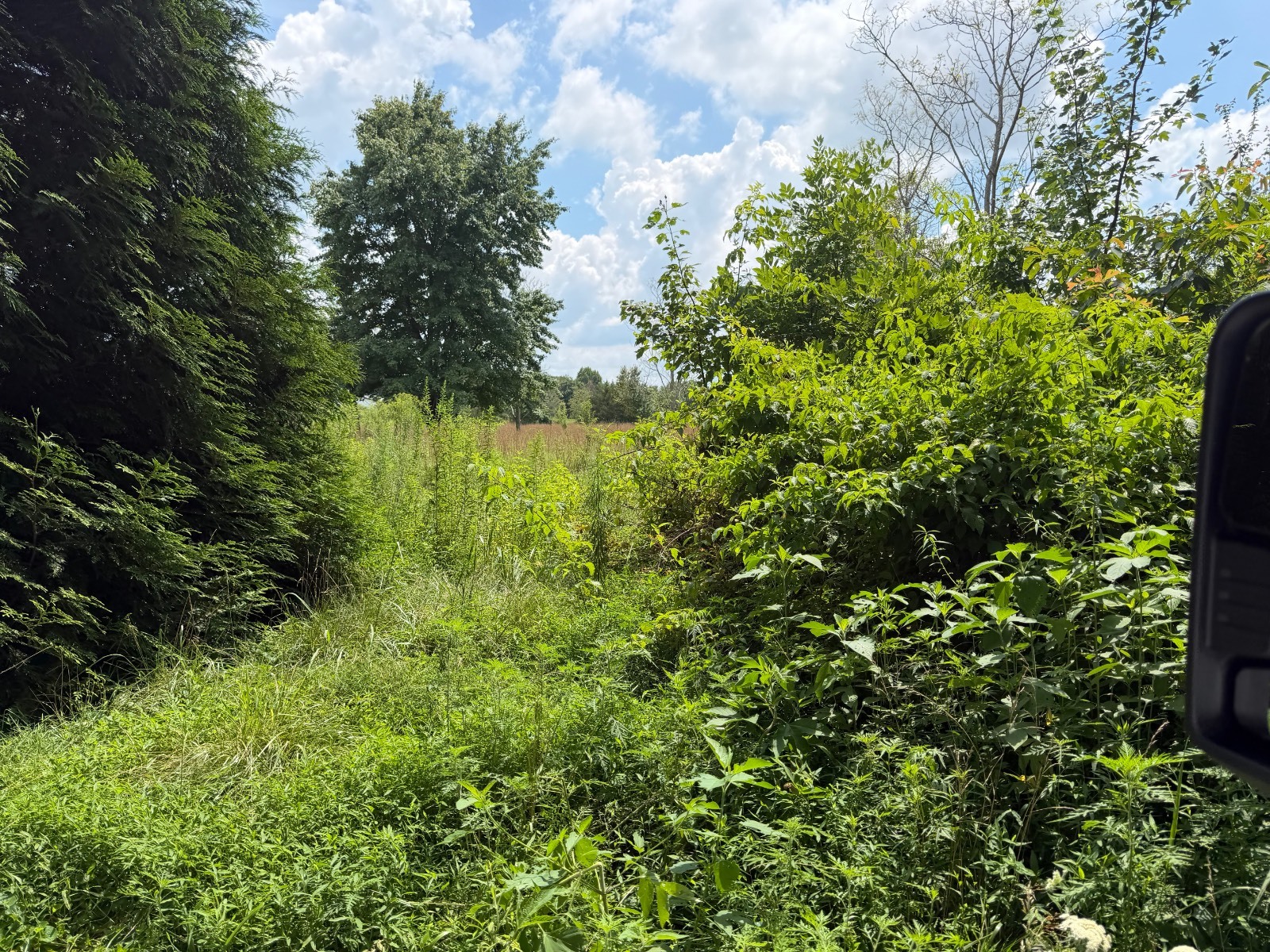 123 Oakes Rd.
