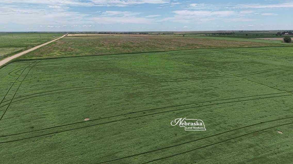 Photo 15 of 23 of land listing at TBD Road 377, Culbertson, NE 69024