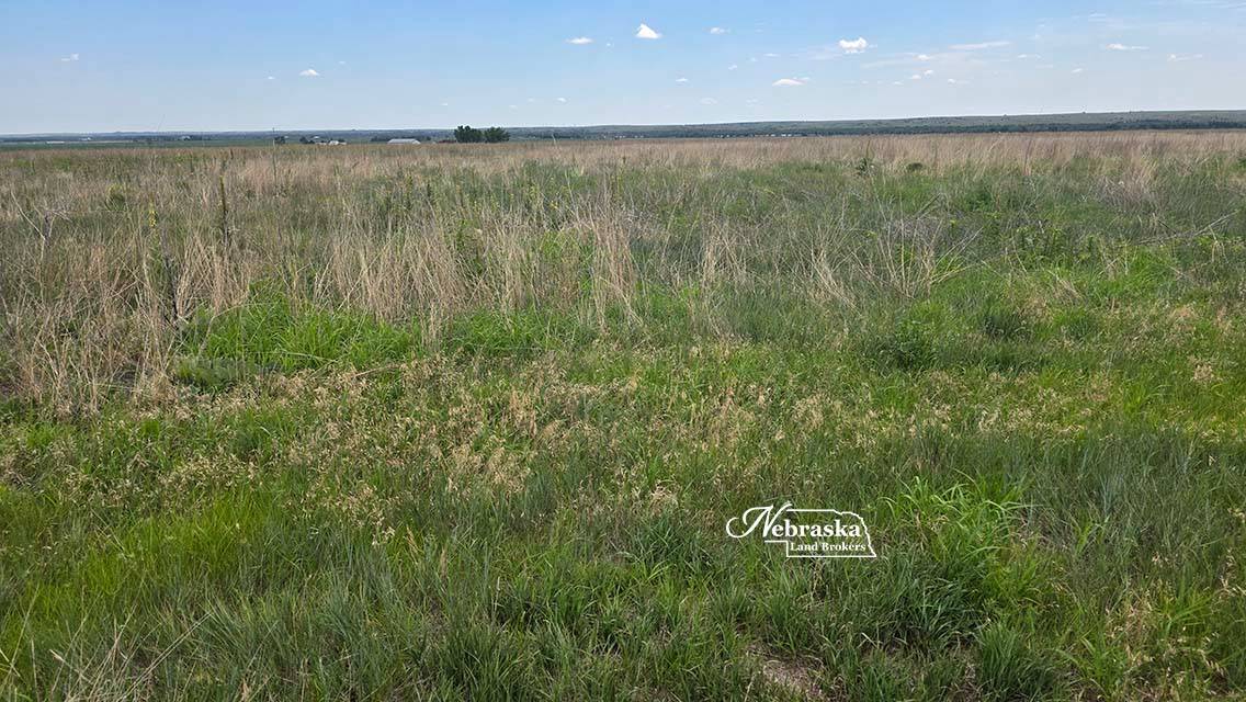 Photo 5 of 23 of land listing at TBD Road 377, Culbertson, NE 69024