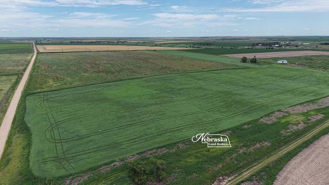 Photo 14 of 23 of land listing at TBD Road 377, Culbertson, NE 69024