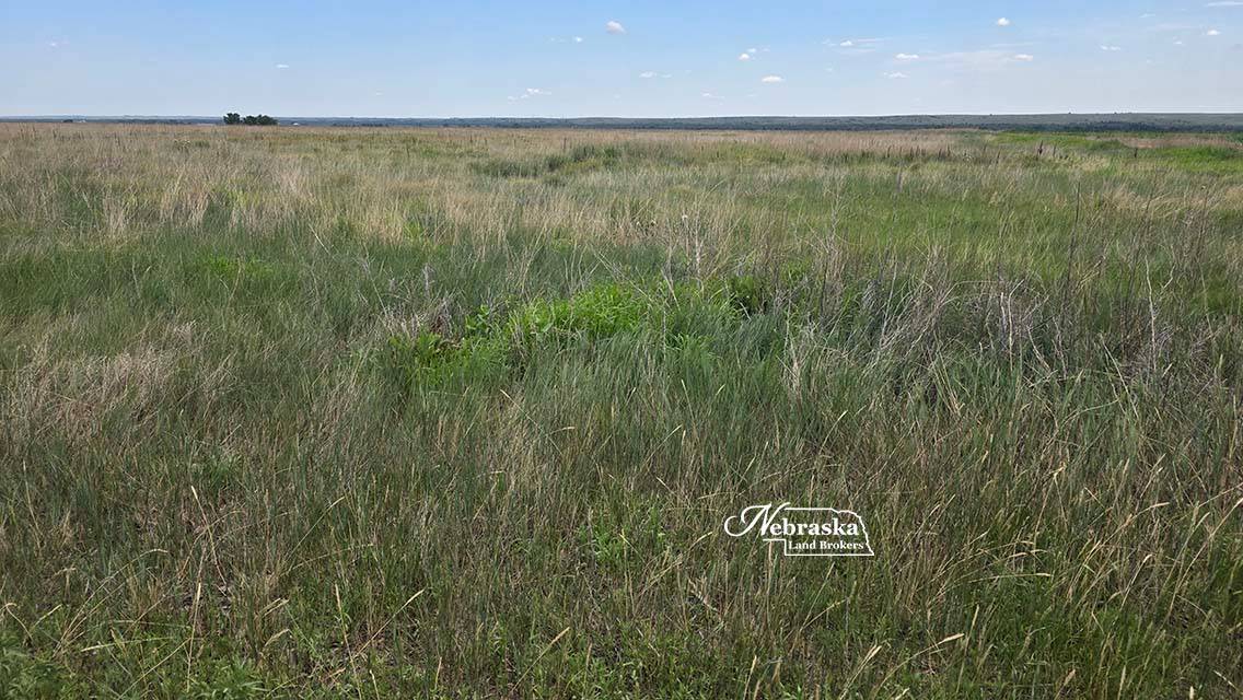 Photo 2 of 23 of land listing at TBD Road 377, Culbertson, NE 69024