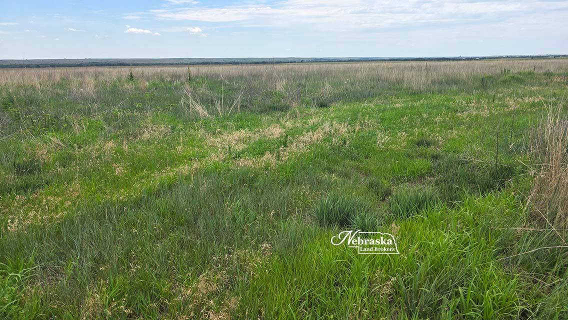 Photo 6 of 23 of land listing at TBD Road 377, Culbertson, NE 69024