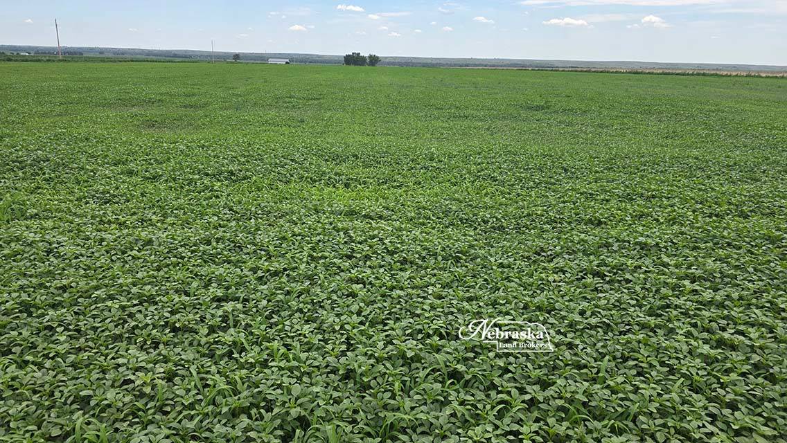Photo 7 of 23 of land listing at TBD Road 377, Culbertson, NE 69024
