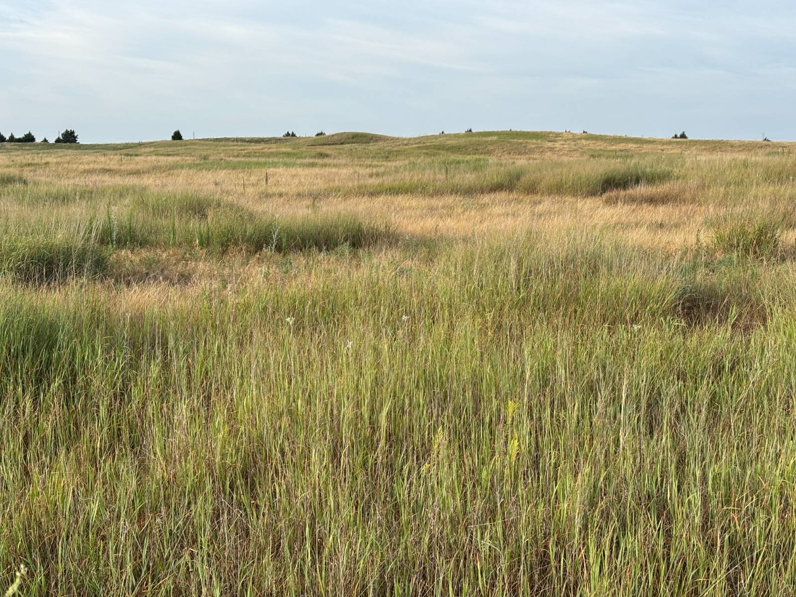 Photo 5 of 10 of land listing at 0 S Homestead Road, North Platte, NE 69101