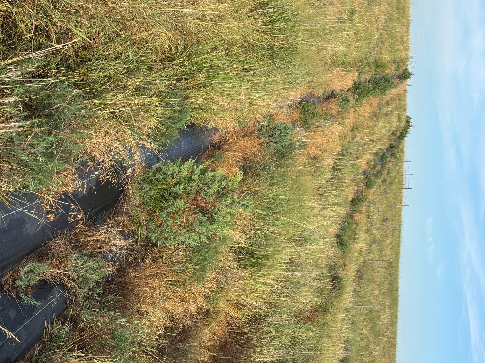 Photo 7 of 10 of land listing at 0 S Homestead Road, North Platte, NE 69101