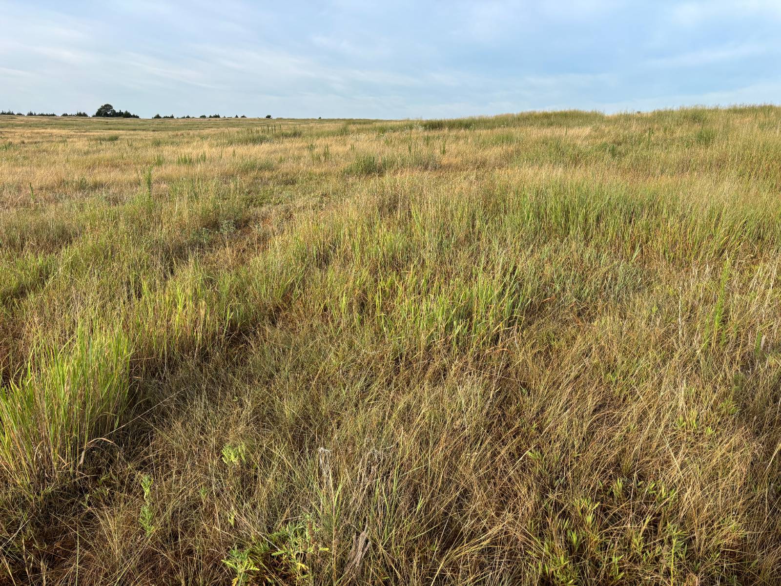 Photo 4 of 10 of land listing at 0 S Homestead Road, North Platte, NE 69101