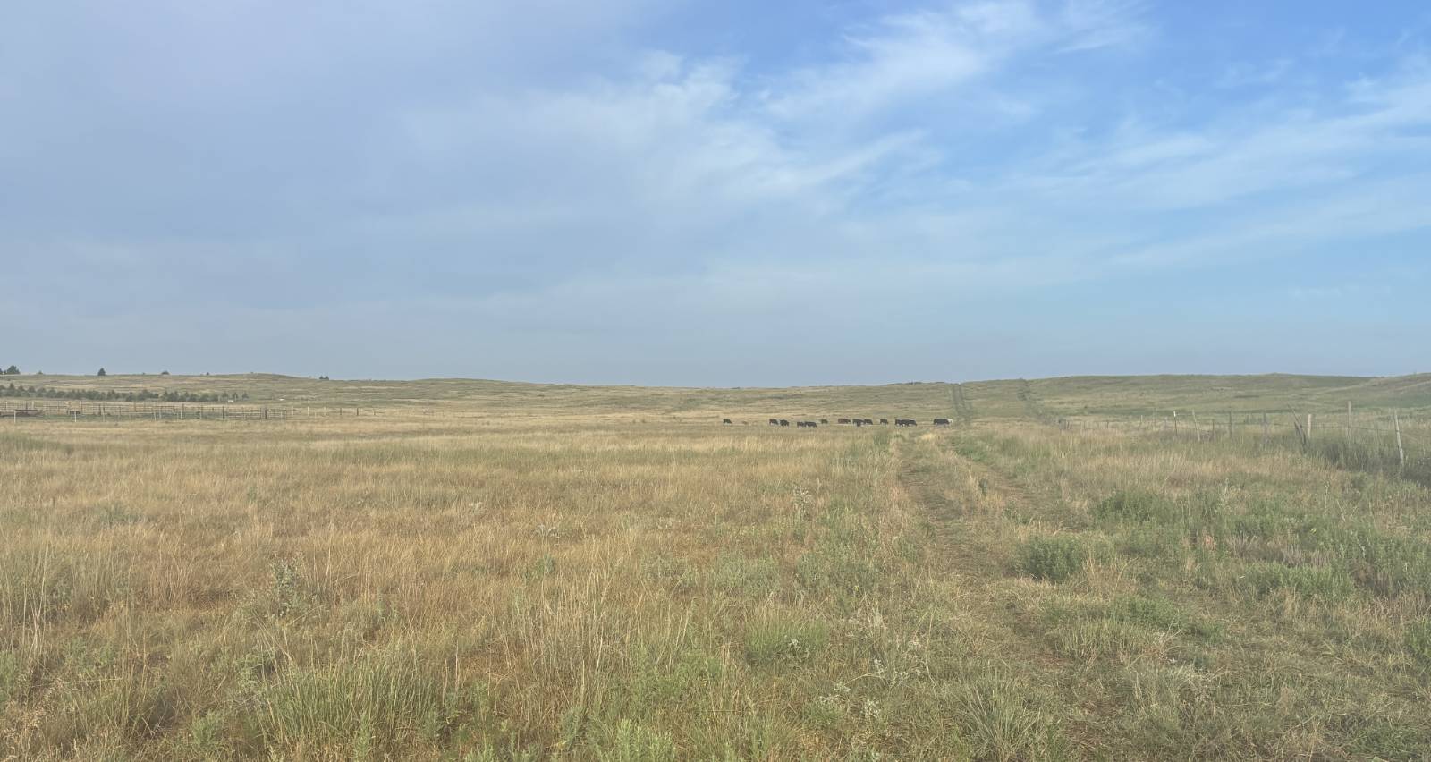 Photo 3 of 10 of land listing at 0 S Homestead Road, North Platte, NE 69101