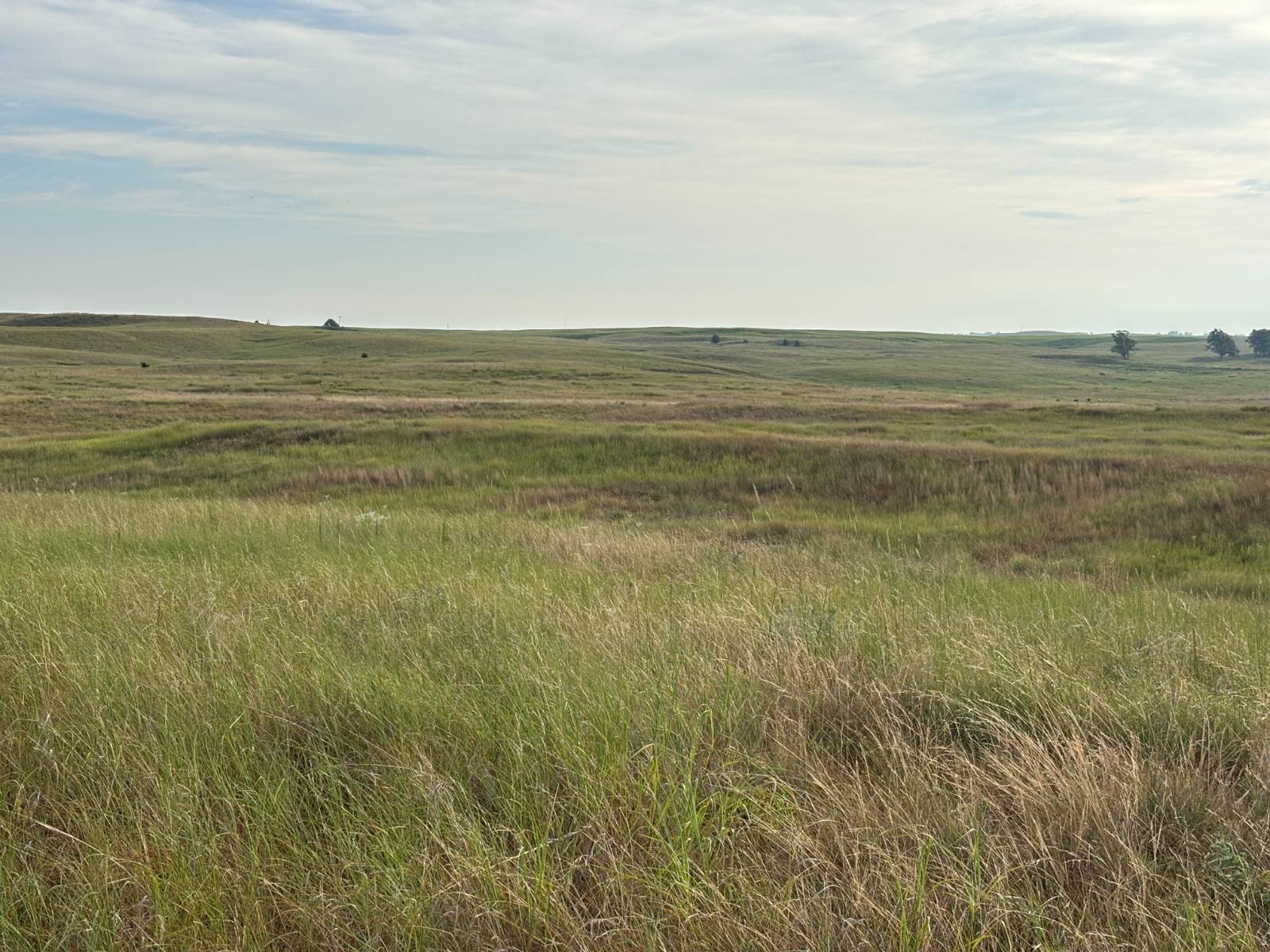 Photo 10 of 10 of land listing at 0 S Homestead Road, North Platte, NE 69101