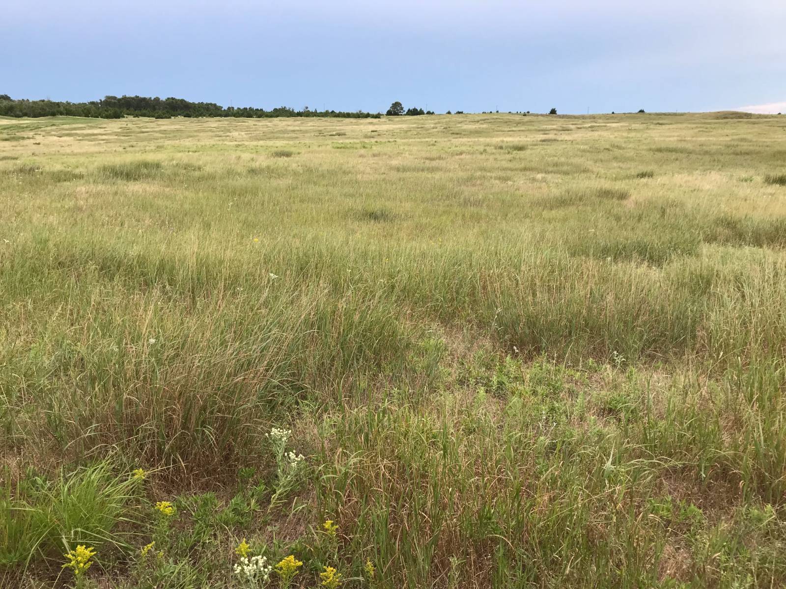 Photo 2 of 10 of land listing at 0 S Homestead Road, North Platte, NE 69101