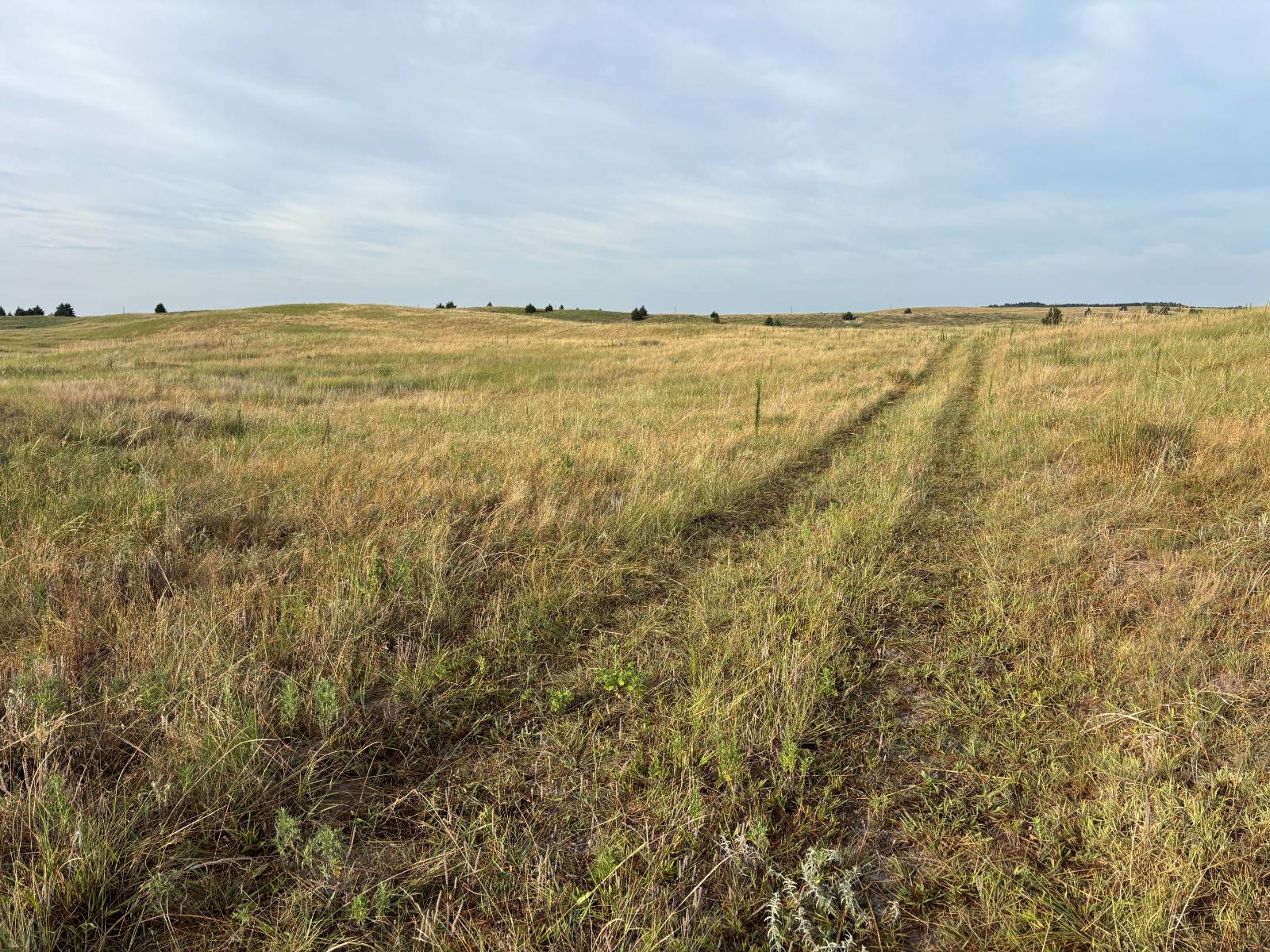 Photo 1 of 10 of land listing at 0 S Homestead Road, North Platte, NE 69101